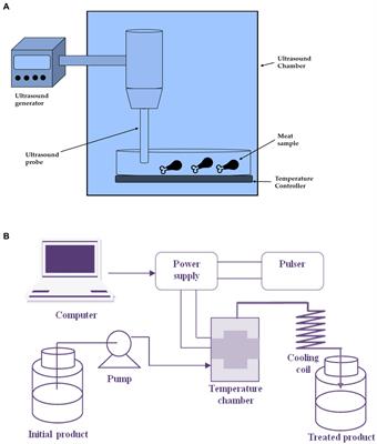 Extraction of natural bioactive compounds using clean label technologies and their application as muscle food preservatives